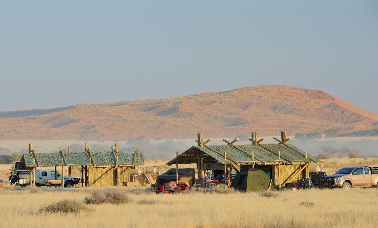 Sossus Oasis Campsite سيسريم المظهر الخارجي الصورة